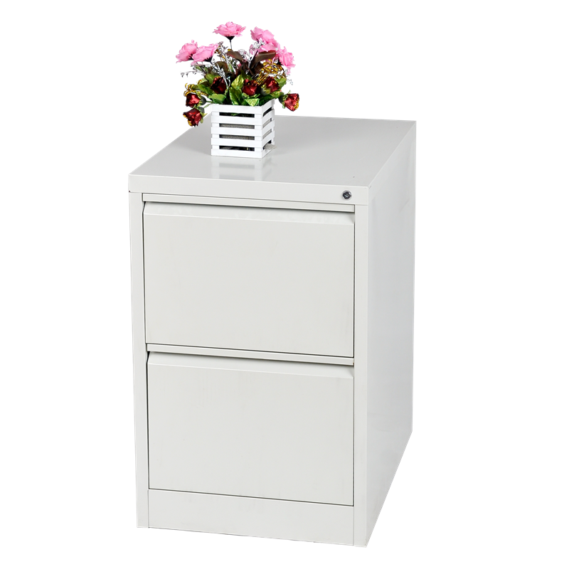 2 Drawer Vertical File Storage Cabinet}